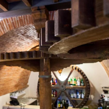 Bernardone Hotell Camaiore Eksteriør bilde